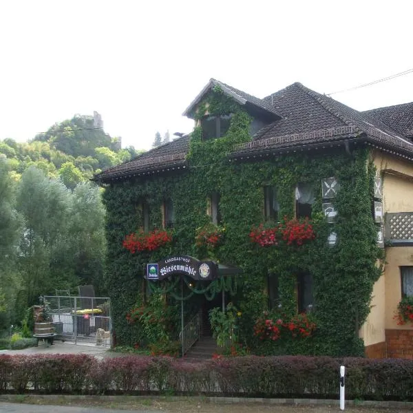唯生沐乐旅馆，位于Burgschwalbach的酒店
