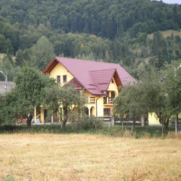 Karisma Kriss，位于Putnişoara的酒店