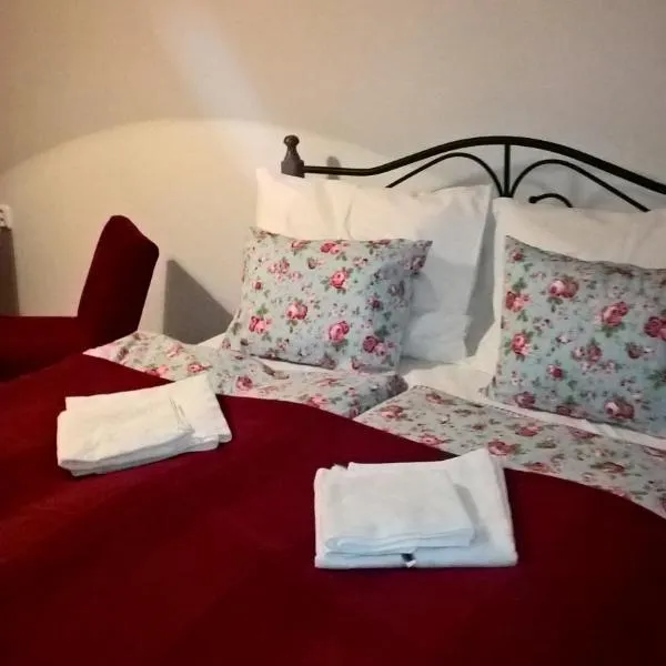 Apartmany Žatec，位于扎泰茨的酒店