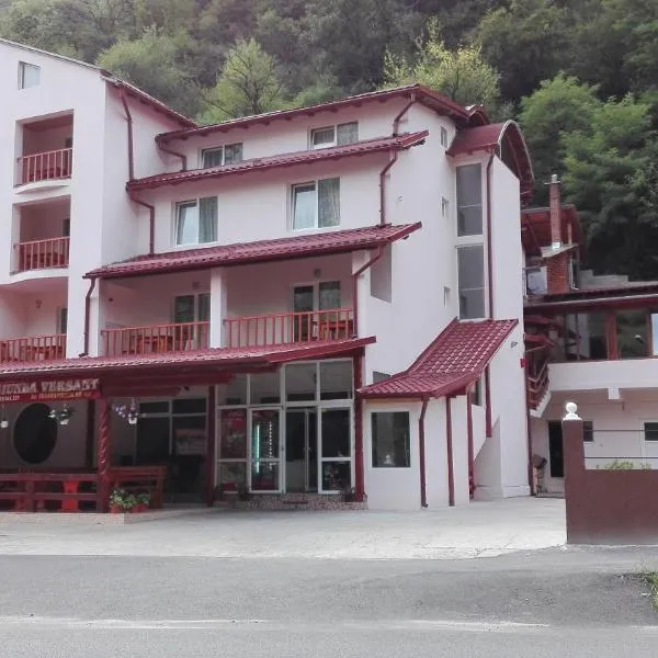 Pensiunea Versant，位于Eftimie Murgu的酒店