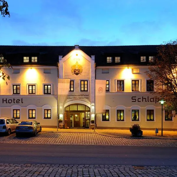 Landhotel Schlappinger-Hof，位于Gerzen的酒店