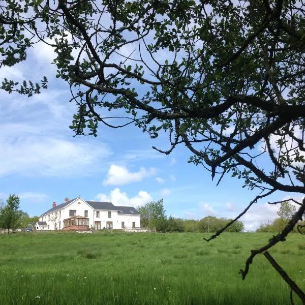 Penddaulwyn Uchaf Farm # Carmarthenshire，位于Dryslwyn的酒店