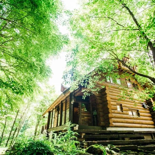 太阳雪木屋度假屋，位于小谷村的酒店