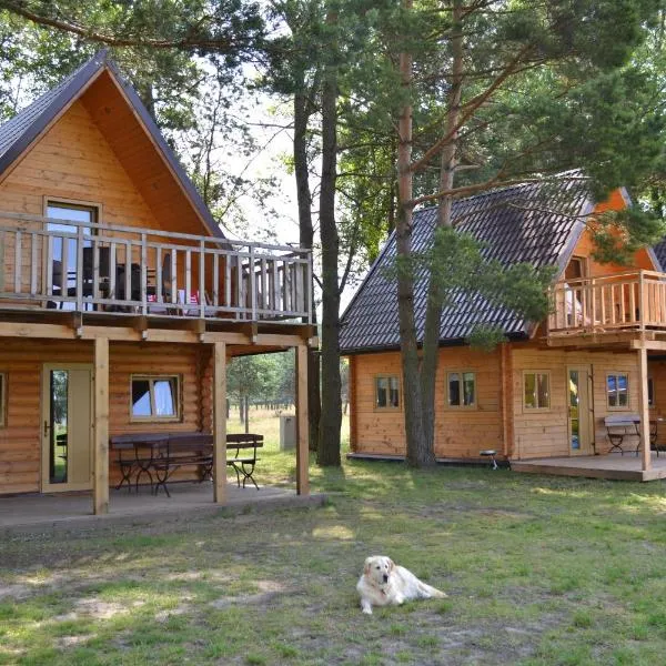 Camping Szczecinek Domy Wypoczynkowe，位于Gwda Wielka的酒店