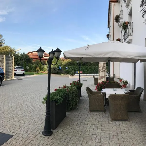 萨图马雷市酒店，位于Viile Satu Mare的酒店