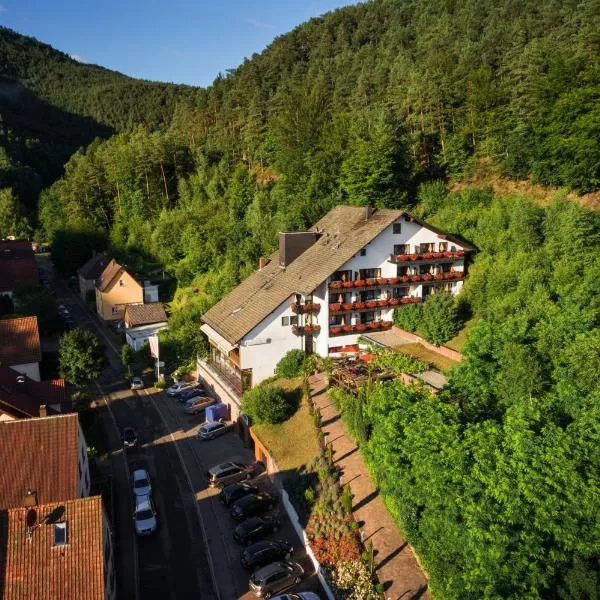 克莱内布鲁姆酒店，位于Bruchweiler-Bärenbach的酒店