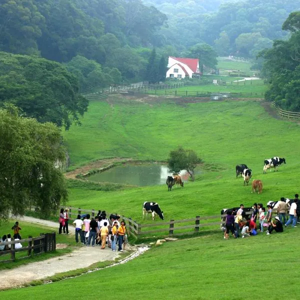 飞牛牧场 ，位于Yuanli的酒店