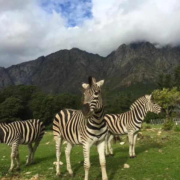 Franschhoek Country Cottages，位于弗朗斯胡克的酒店