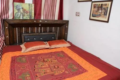 Karina art Home stay 50 meters from Rampuria haveli，位于Dhaia的酒店