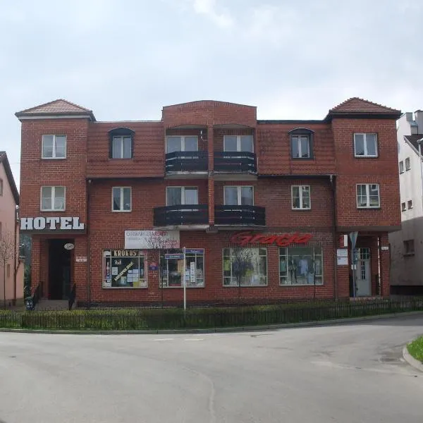 Hotel Krokus，位于Leszczyniec的酒店