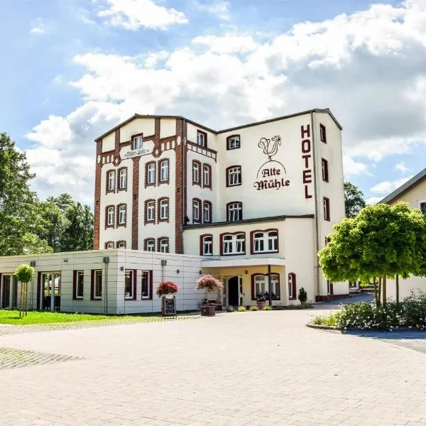 老磨坊餐厅酒店，位于Rödental的酒店