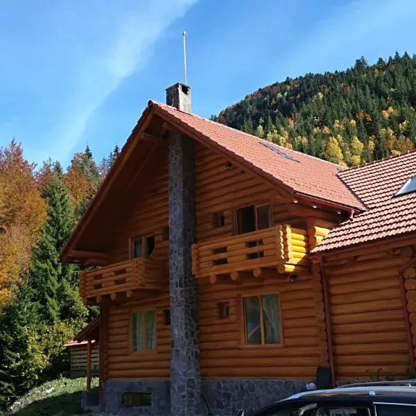 Pensiunea Izbucul Tauz，位于Hănăşeşti的酒店