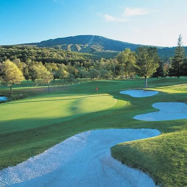 The Black Bear Lodge at Stratton Mountain Resort，位于Stratton Mountain的酒店