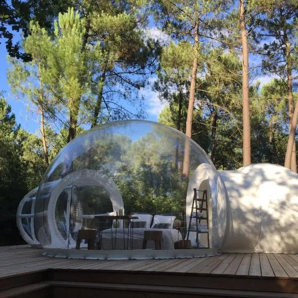 Les Bulles De Bordeaux，位于Salleboeuf的酒店