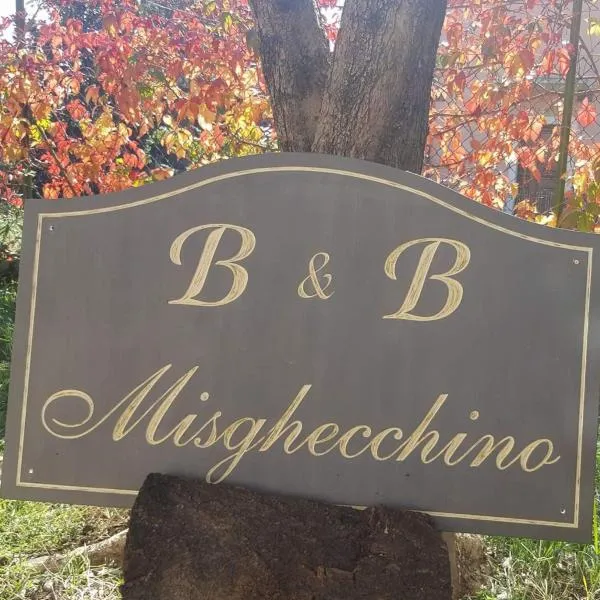 Bed and Breakfast Misghecchino，位于特雷维的酒店