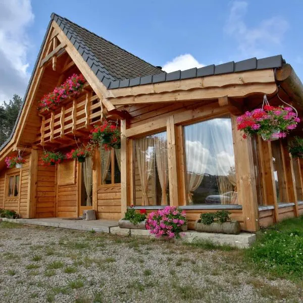 Les Chalets du Mazet Saint Voy，位于Mazet-Saint-Voy的酒店
