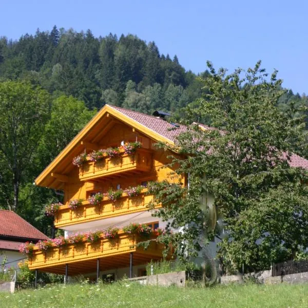 Appart Tramontana，位于比尔塞贝格的酒店