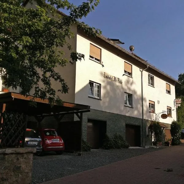 Landhotel Alte Mühle，位于Modautal的酒店