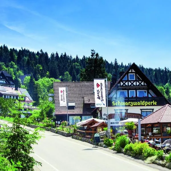 Hotel-Berggasthof Schwarzwaldperle，位于萨巴赫瓦登的酒店