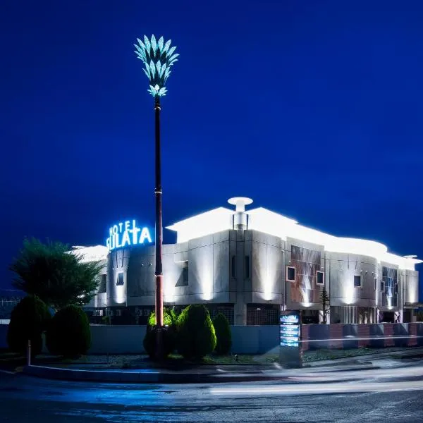 Hotel Sulata Yamagata Airport，位于Higashine的酒店