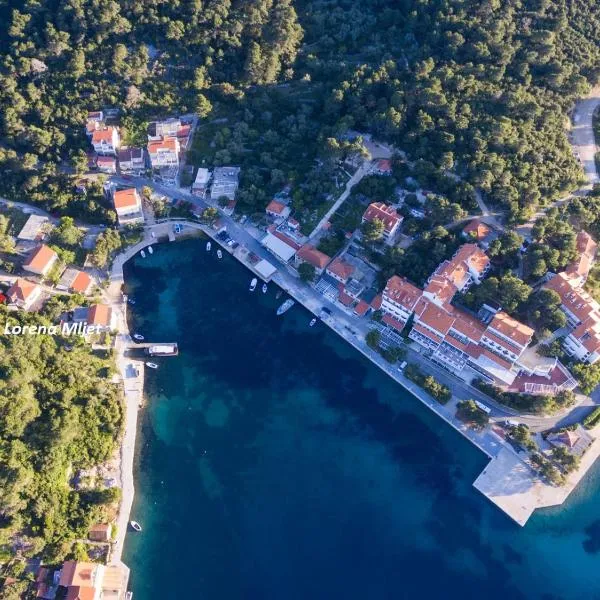 Apartments Lorena Mljet，位于波拉斯的酒店