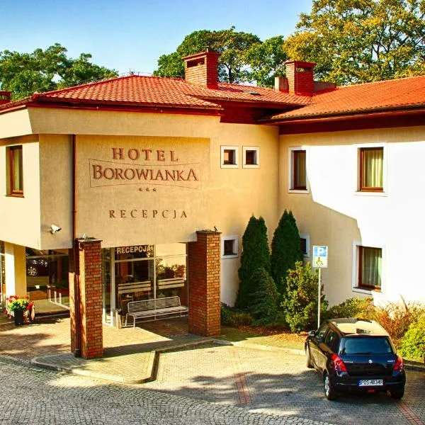 Hotel i Restauracja Borowianka，位于Sobótka的酒店