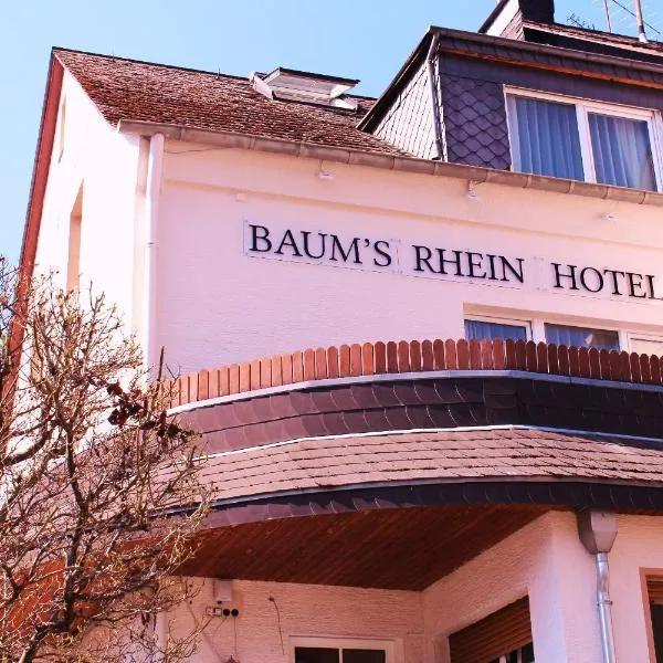 鲍姆斯莱茵酒店，位于Eschbach的酒店