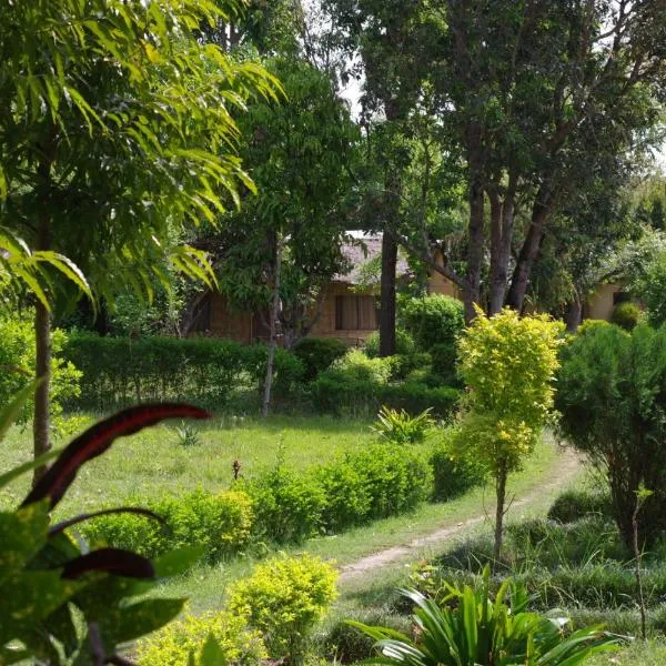 Jungle Base Camp，位于Dhakela的酒店