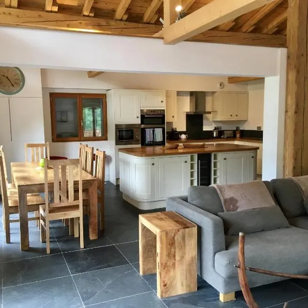 Chalet Marmotte 1，位于莫尔济讷的酒店