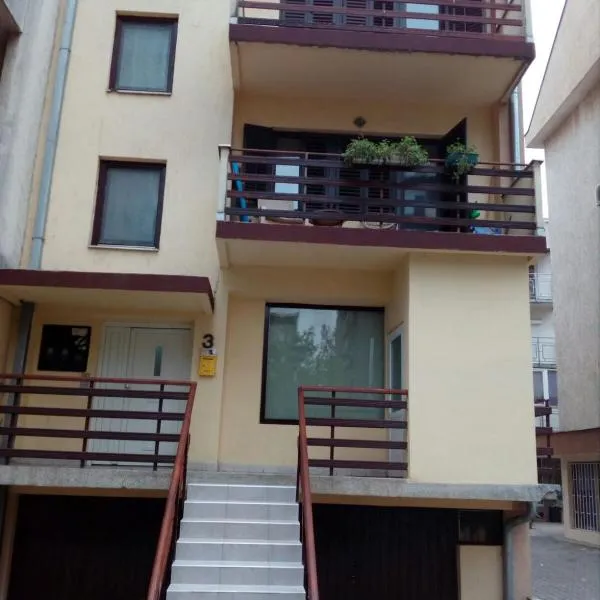 维克托斯坦纳丹公寓，位于Cerovac的酒店