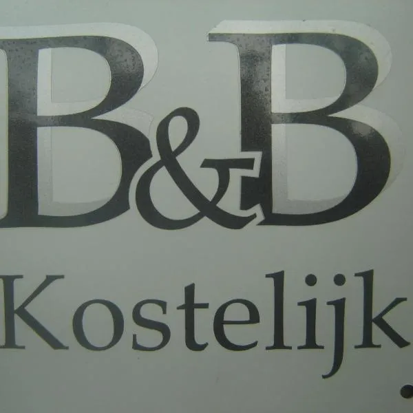 B & B Kostelijk，位于布克洛的酒店