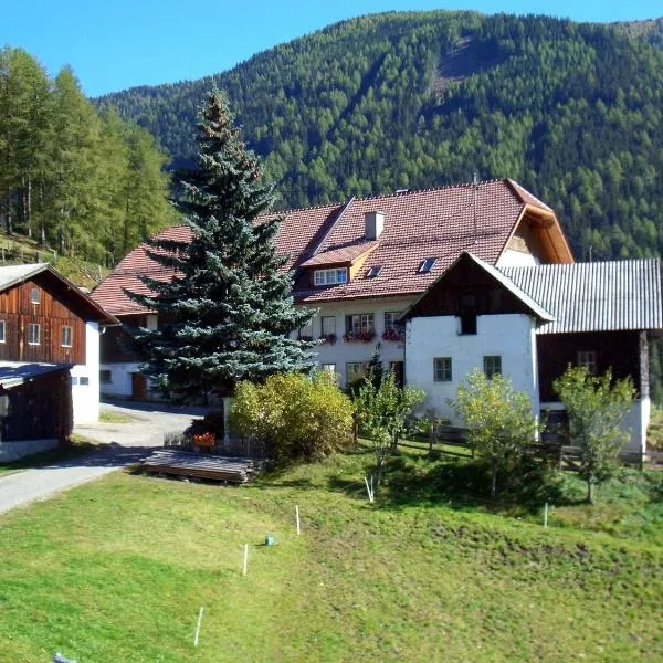 Ferienwohnung Biohof Laußnitzer in Rennweg，位于Leoben的酒店