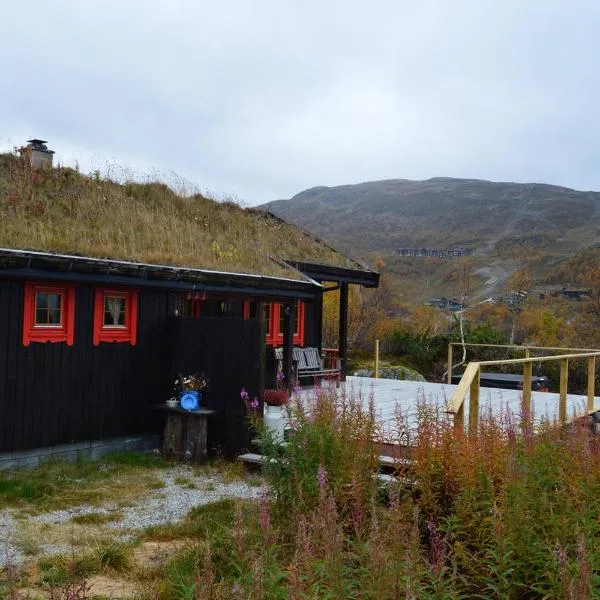 Haukeli Mountain Cabin，位于Vågsli的酒店