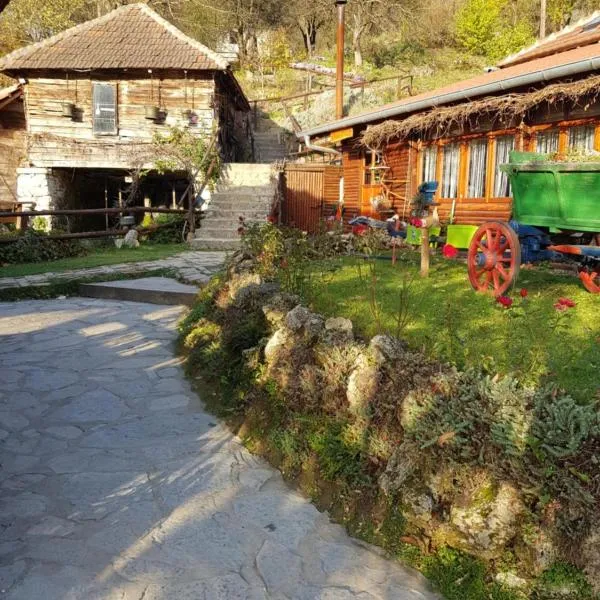 Guest House Lisinski Raj，位于Žagubica的酒店