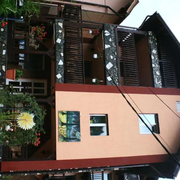 Pensiunea Ianis Moieciu，位于莫伊西德约斯的酒店