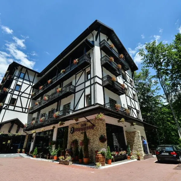 波萨达维德拉鲁酒店，位于Căpăţîneni-Ungureni的酒店