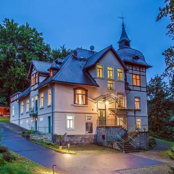 Gästehaus Villa Rose，位于Dürrröhrsdorf的酒店
