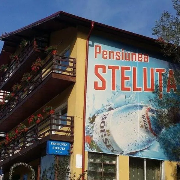 Pensiunea Steluta，位于阿祖加的酒店