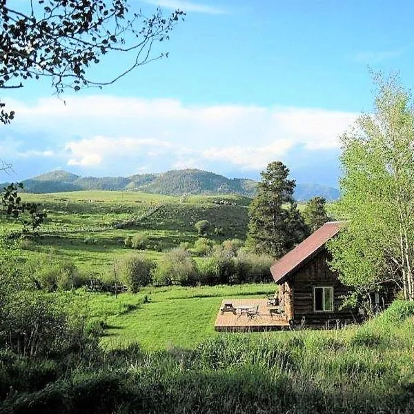 Grandpa's Cabin，位于加德纳的酒店