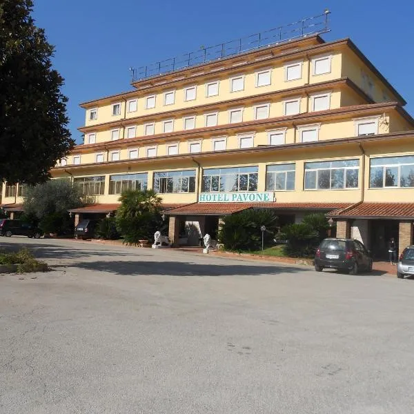 格兰德帕丰内酒店，位于卡西诺的酒店