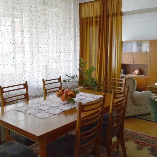 Apartman Nikolic，位于Rgotina的酒店