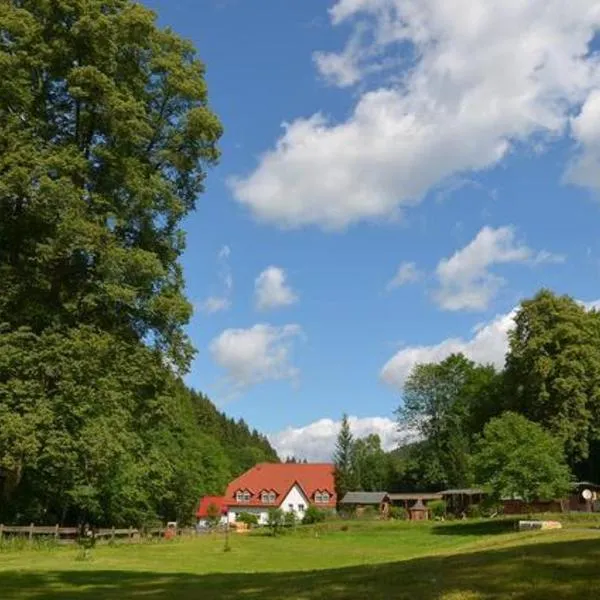Zur Sommerfrische Lothramühle，位于Drognitz的酒店