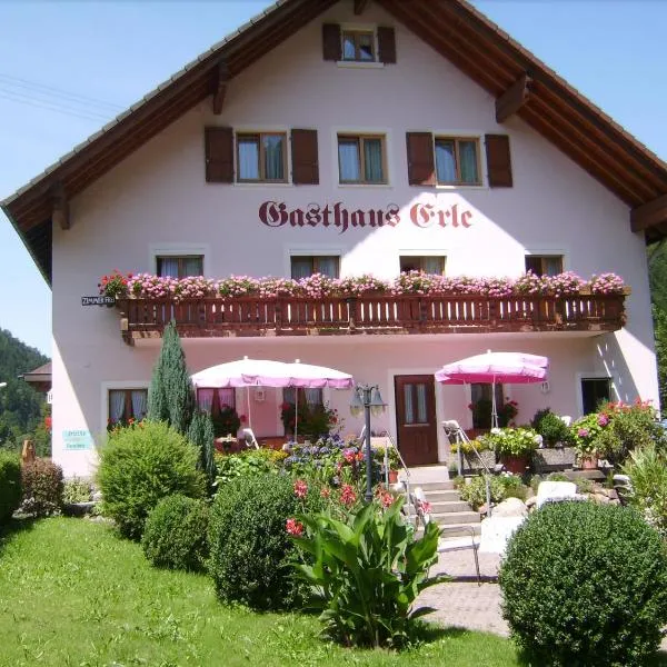 哲艾拉酒店，位于西蒙斯瓦尔德的酒店