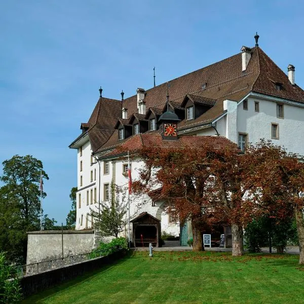 施拉夫城堡住宿加早餐旅馆，位于鲁格苏的酒店