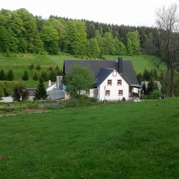 Die Oberlochmühle PENSION，位于Deutschneudorf的酒店