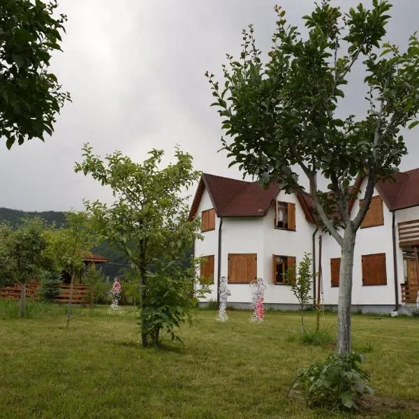 Holiday house Casa Dejani，位于Copăcel的酒店