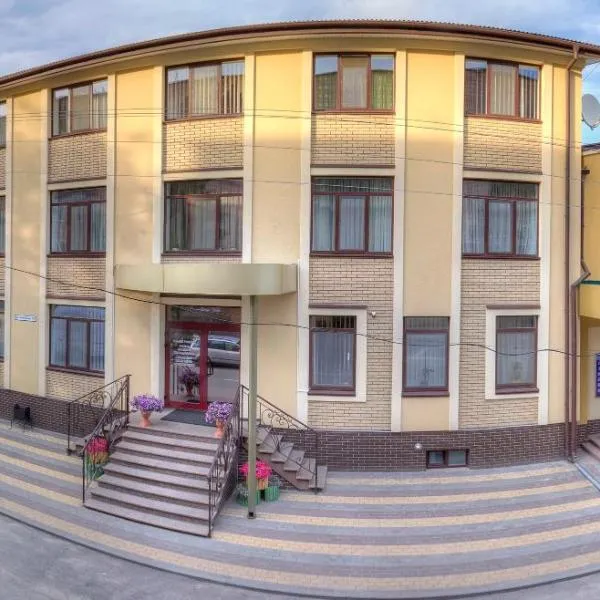 Nashe Misto Guest House，位于Solovichi的酒店