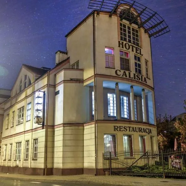 卡莉西亚酒店，位于Nowe Skalmierzyce的酒店