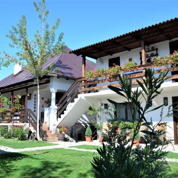 维赫之家旅馆，位于Costeşti的酒店