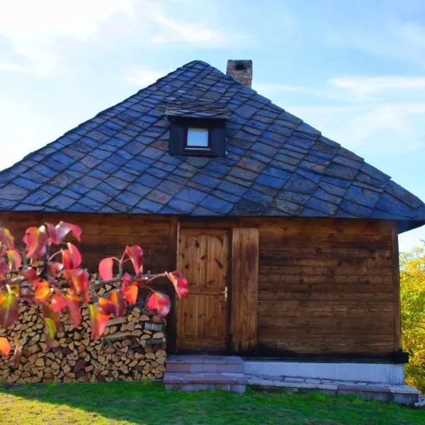 Cabin Menka，位于Gornji Ljubiš的酒店